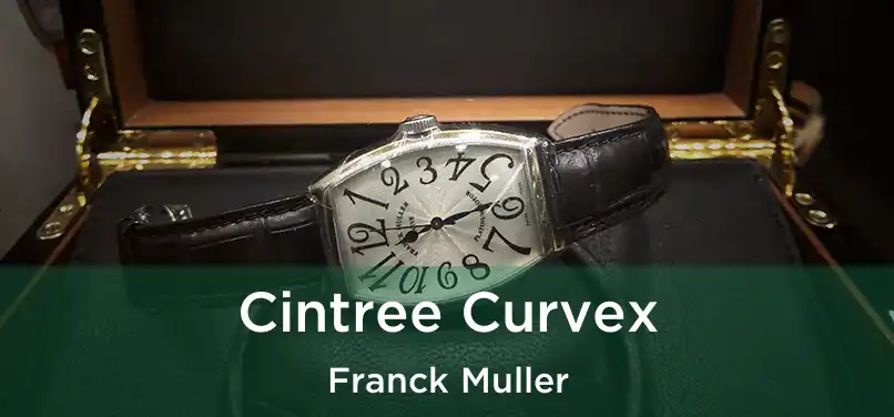  Cintree Curvex Franck Muller